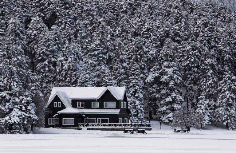 Dark snow-covered house in front of snowy trees